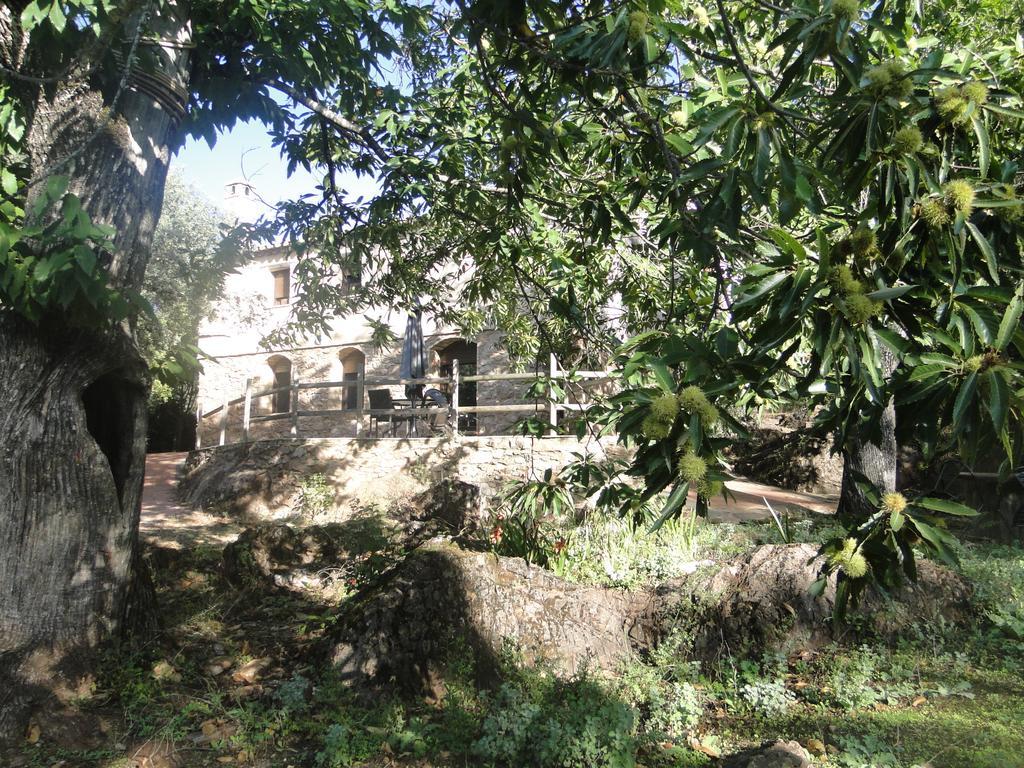 فوينتيئيريدوس Finca La Colora المظهر الخارجي الصورة